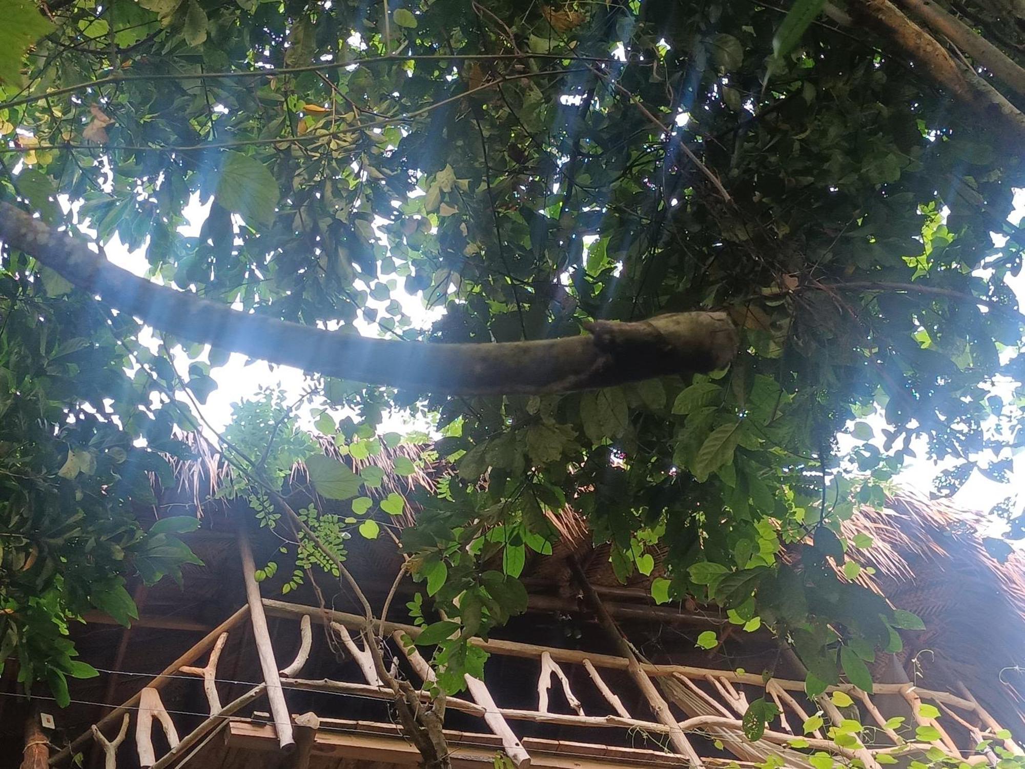 Sierra Tayrona Hostel El Zaino Luaran gambar