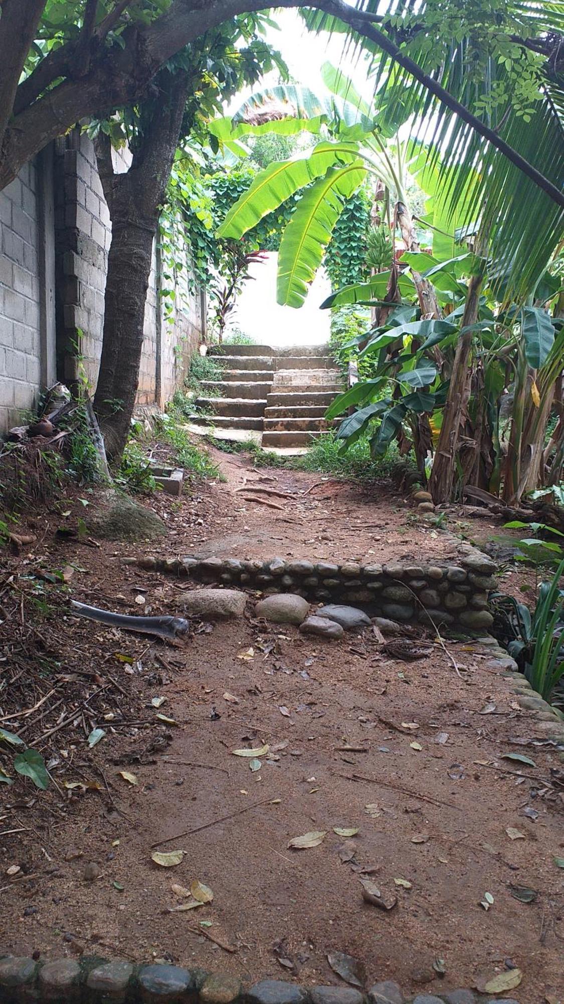 Sierra Tayrona Hostel El Zaino Luaran gambar